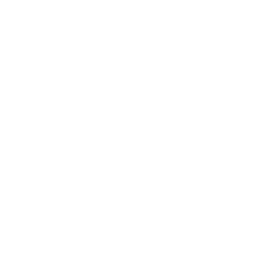 logo light